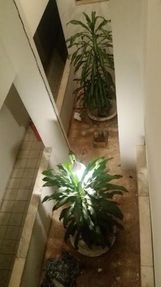 New Byblos Hotel Brasília Luaran gambar